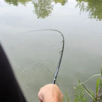 Preston Innovations Inspire Feeder Rods